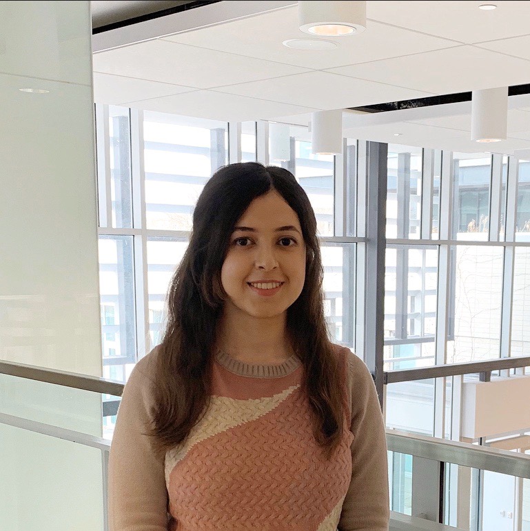 img_1021.jpg img_1021.jpg