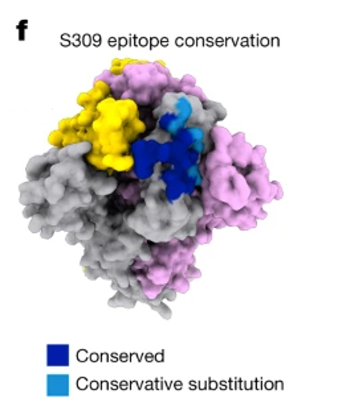4._s309_epitope_conservation.png