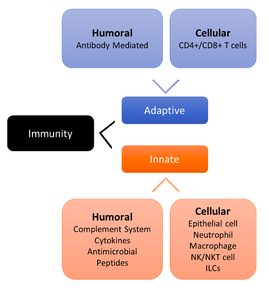 immunological_aspects.png