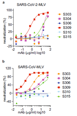neutralization_assay_results.png