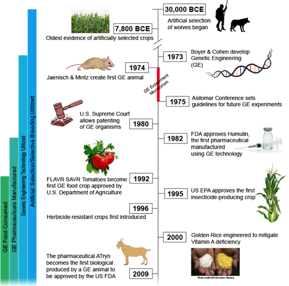 a_timeline_of_the_development_of_gmo.png