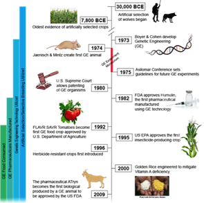 a_timeline_of_the_development_of_gmo_s.png