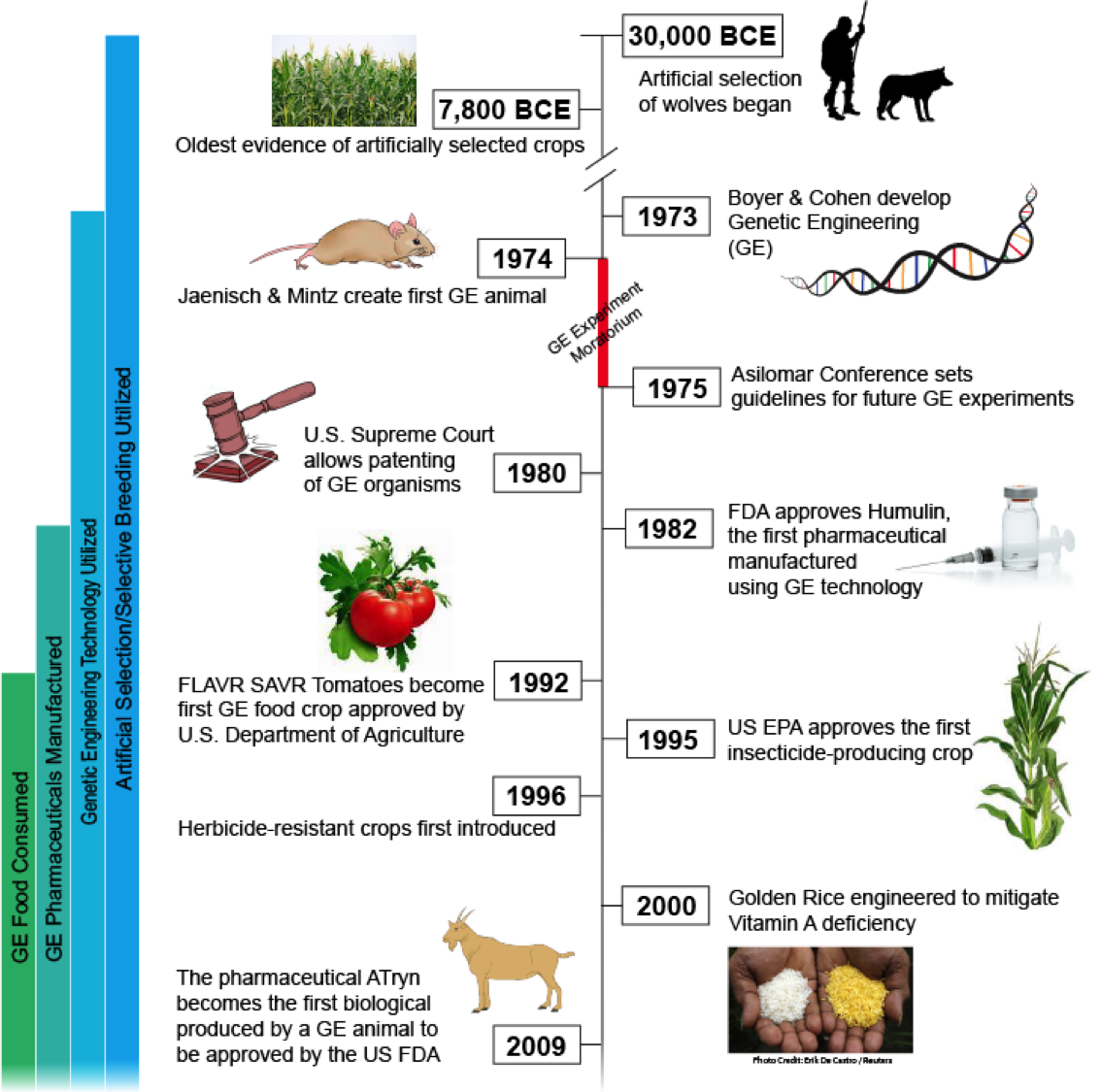 a_timeline_of_the_development_of_gmos.png