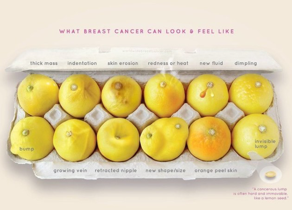 breast_cancer_lemons.png