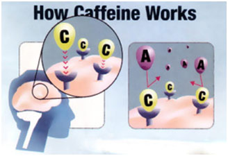 caffeine-works-coffee.jpg