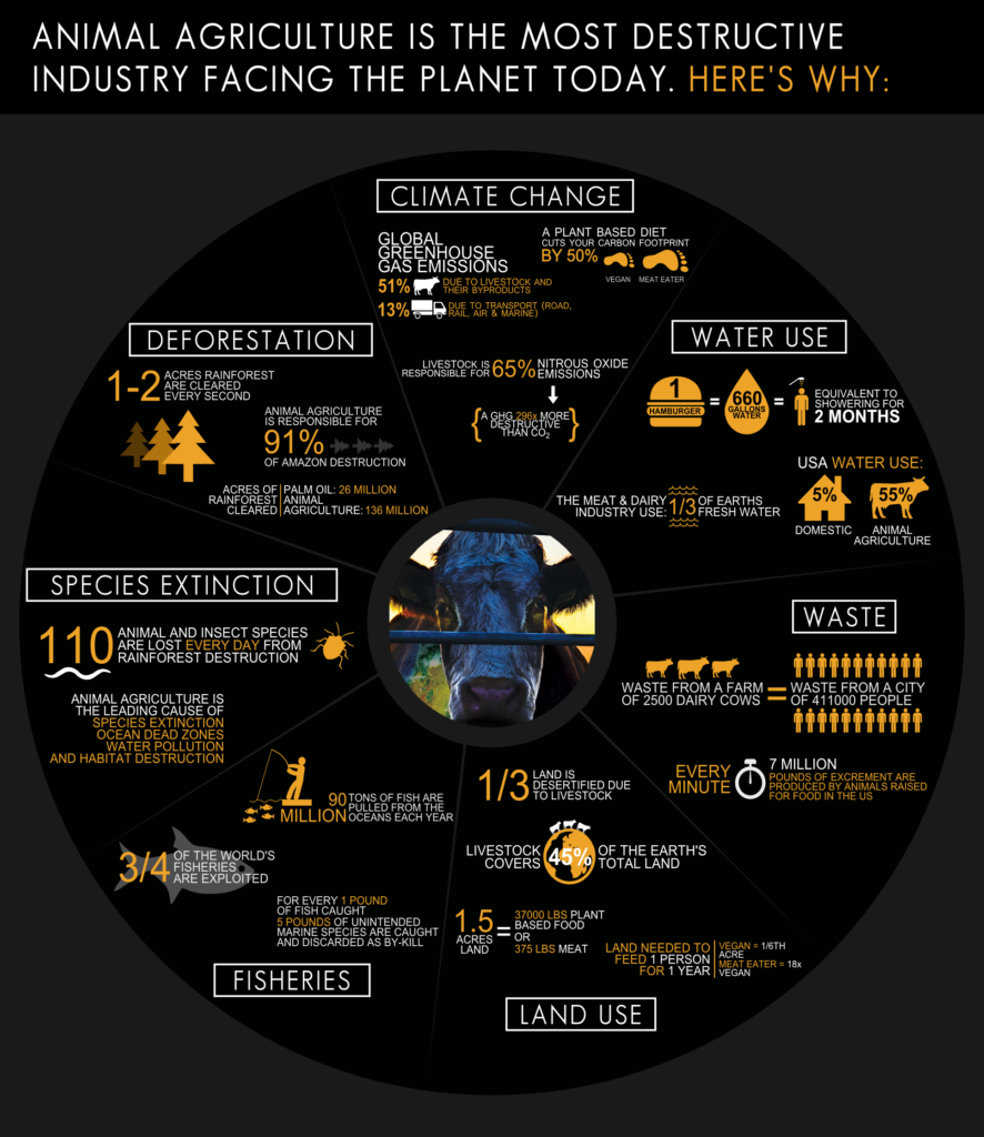 cowspiracy-infographic.png