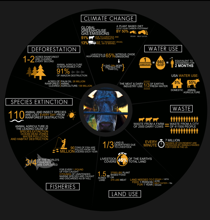 cowspiracy-infographic_large.png
