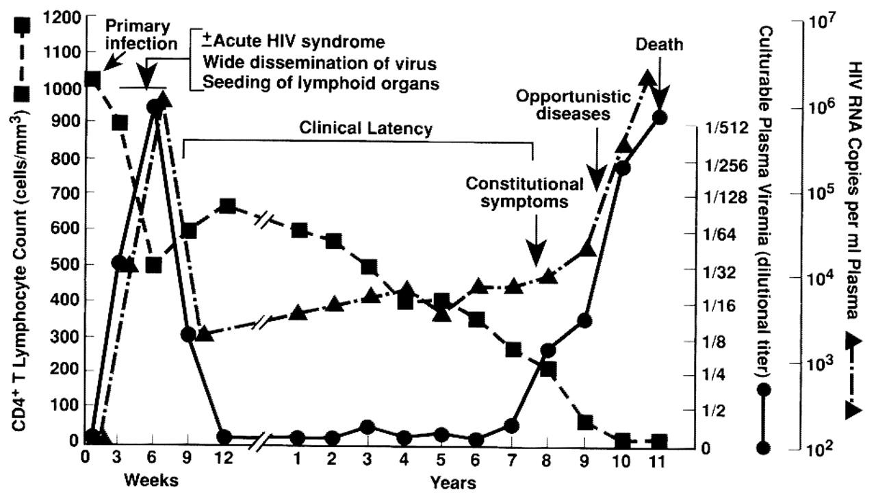 hiv_stages_graph.jpeg