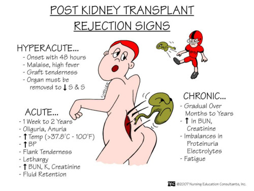 kidney_rejection_.jpg