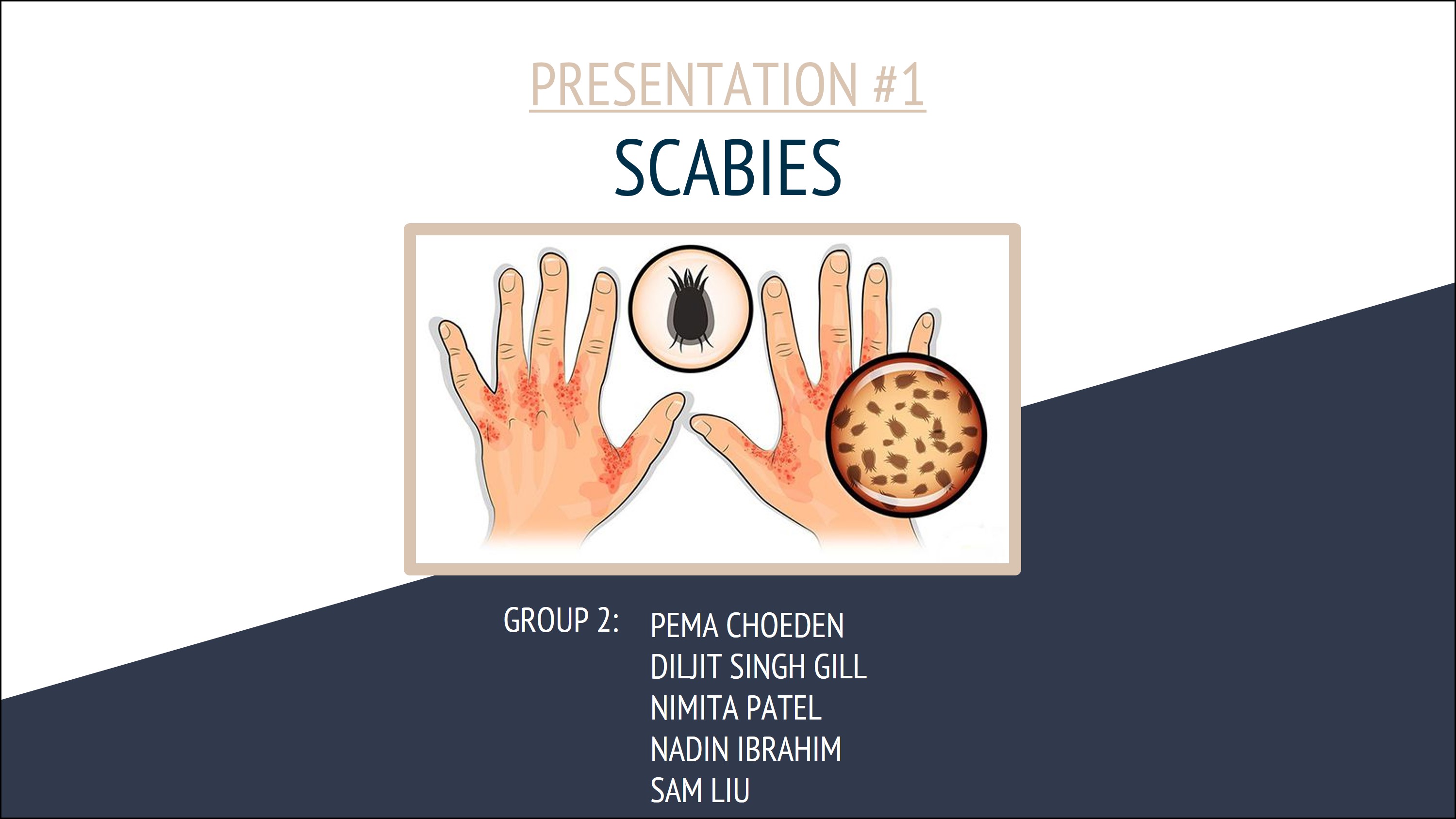 life_sci_4m03_-_presentation_1_scabies_.jpg