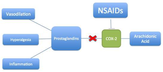  Figure 6: Mechanism of action of NSAIDs- Normally, arachidonic acid is converted to prostaglandins by COX-2 enzymatic activity. This results in vasodilation, inflammation and increased sensitivity to pain. NSAIDs inhibit COX-2 function and thus prevent these biological responses from occurring. Limiting these activities helps alleviate pain experienced from migraine.
