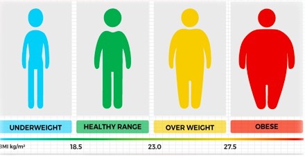 File:BMI weight obesity scale.jpg - Wikipedia