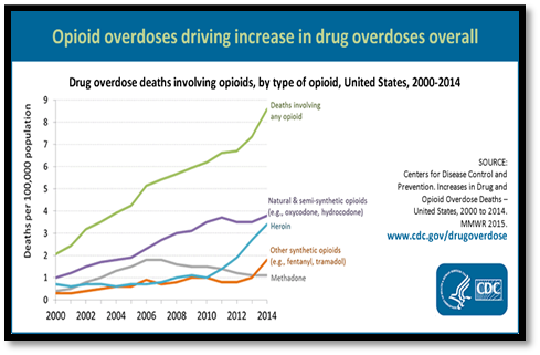 opioidcrisis.png
