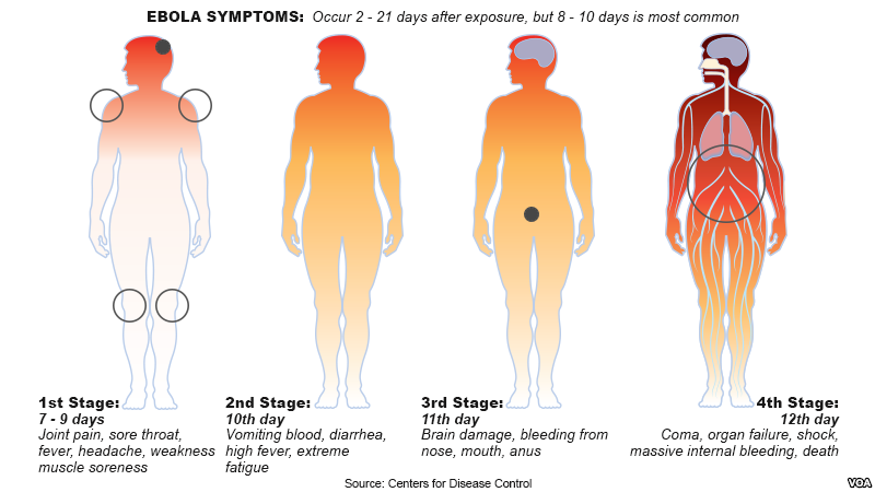 stages_of_ebola.png