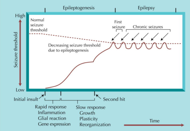 steps_of_epilepsy.png