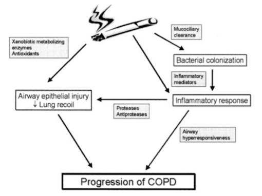 summary_of_pathways_and_candidate_genes_involved_in_copd.png