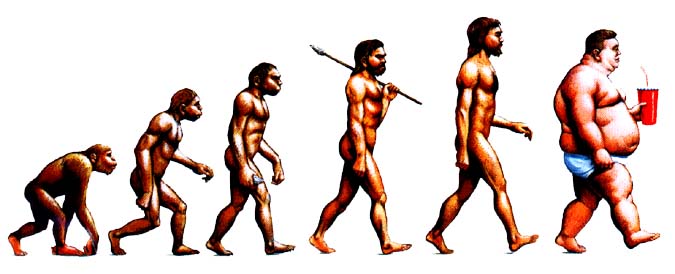 the_evolution_of_man.jpg