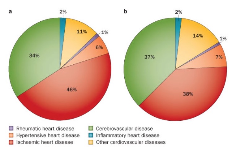 What Are The Causes Of Coronary Artery Disease